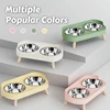 Dopamine Colorful Elevated Pet Feeder: Dual Stainless Steel Bowls with Neck Support - Fashion Food & Water Station for Pets 6