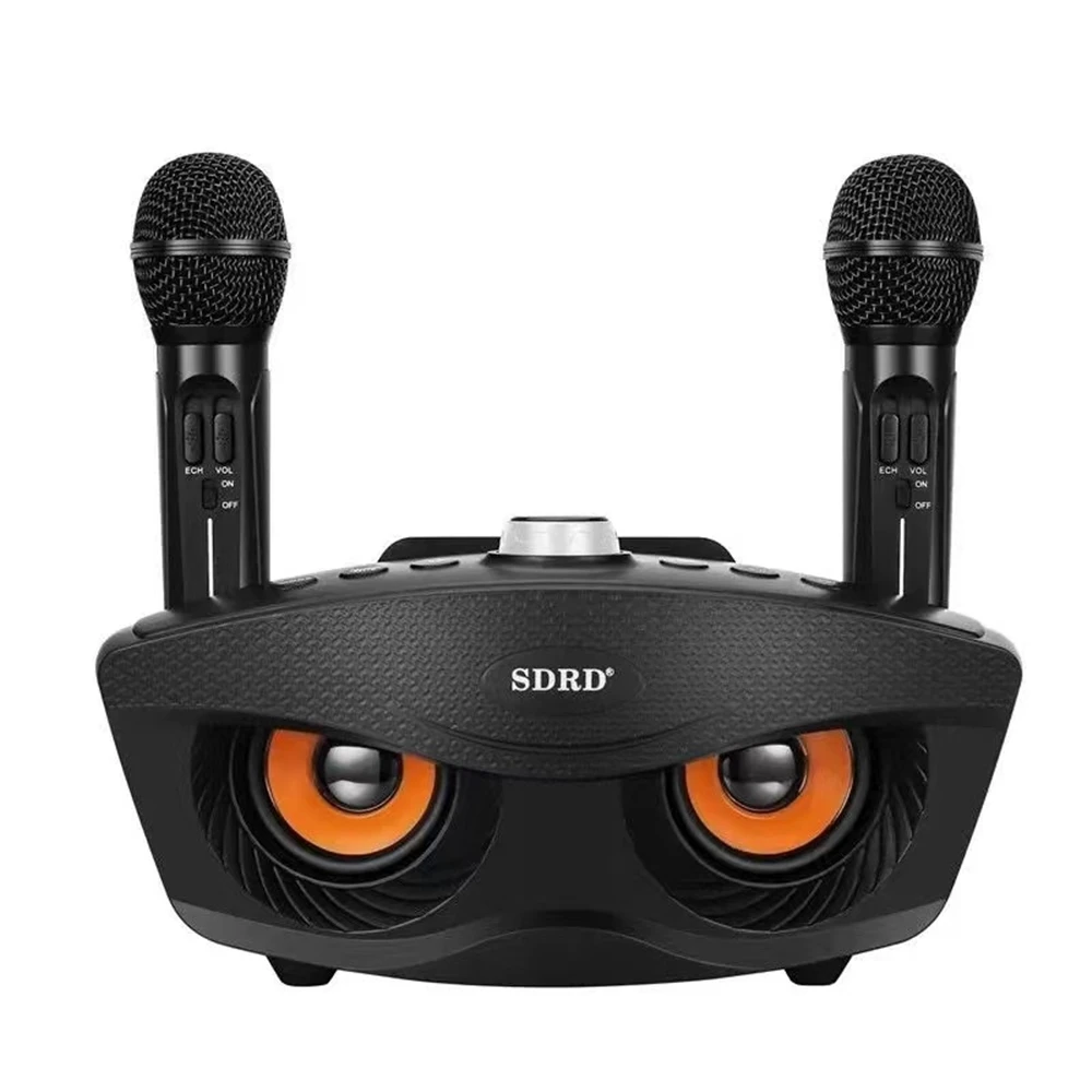 Wholesale SD306 20W Bass Sound Family KTV 2 IN 1 Portable Karaoke