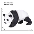 Giant Panda