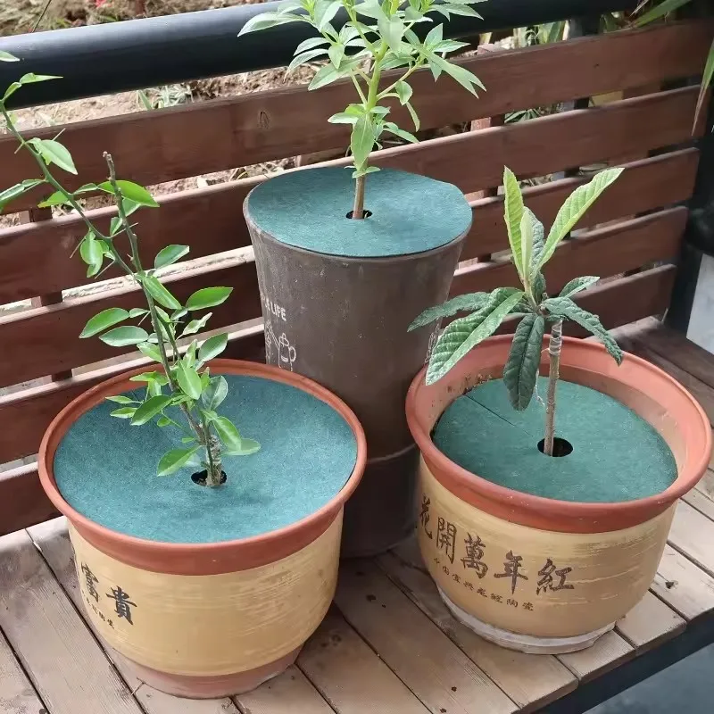 10개입 부직포 정원용 멀칭 링 나무 보호대 식물 커버 잡초 방지 15cm-82cm 정원 테이프스터리 보호막 허브 제거