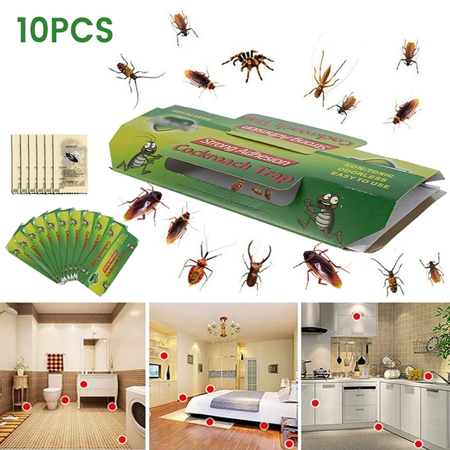 Csótány Ház Kártevő Csapda Nem Toxikus Ragacsos Táblák Ragasztó Kártevőirtó Szerszám Tartozék - Image 3