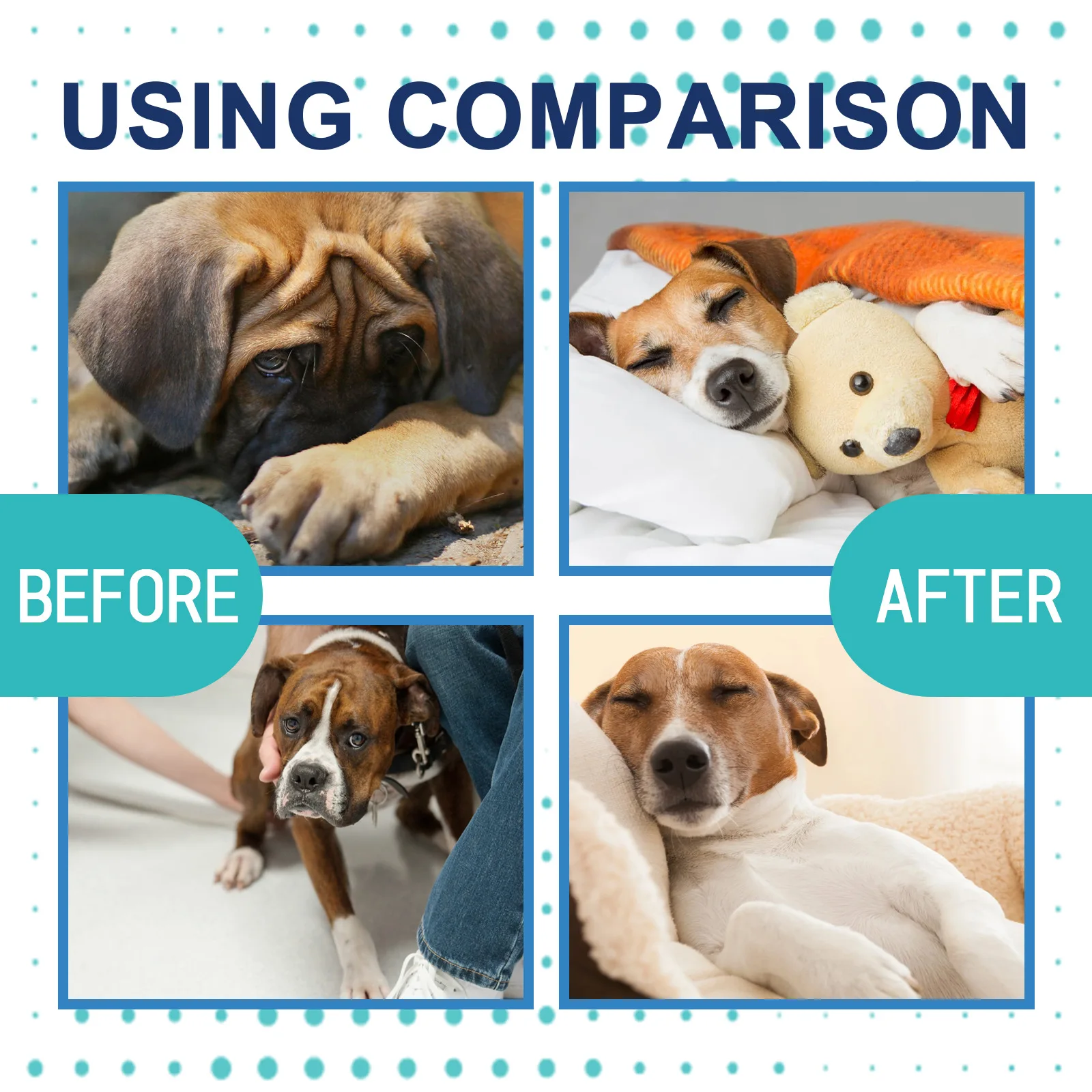 Dog/Cat Calming Liquid Diffuser 6