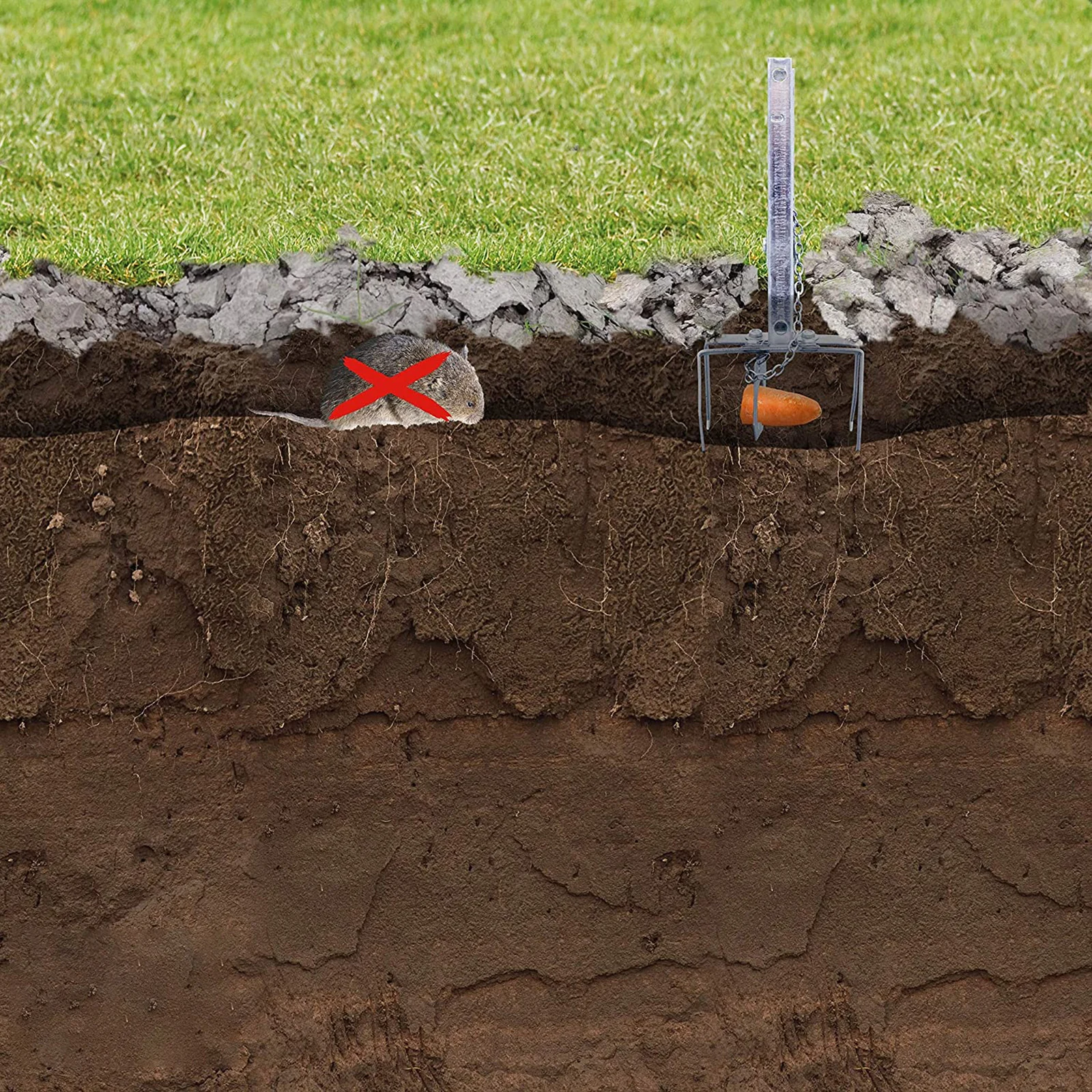 Slide image 0ee142842549468aaf61d82e61928100