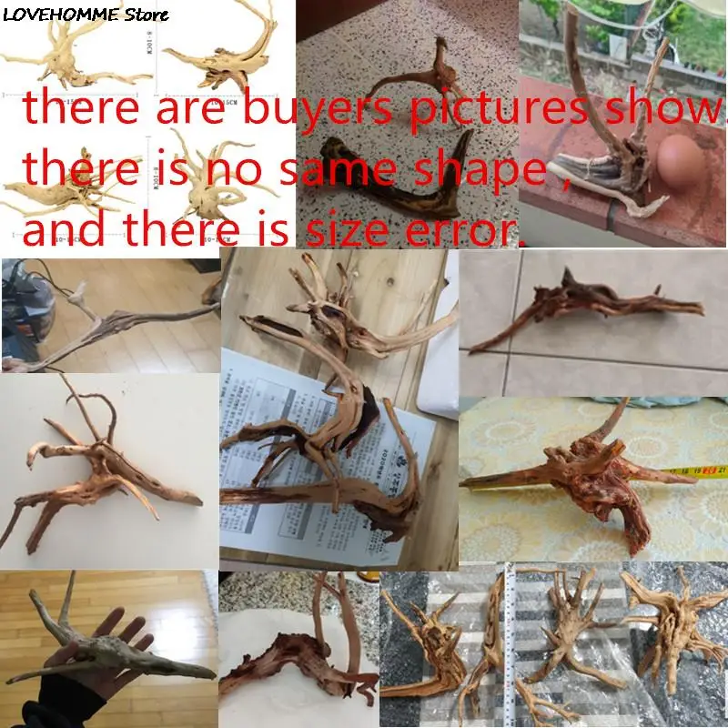 Slide image abe24b8b14f1436e963800a1e8d4c3a6