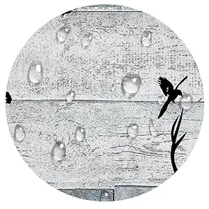 https://ae01.alicdn.com/kf/Sdd8bd54b3efc460ab0ec5fe14ce56676x.jpg?width=300&height=300&hash=600