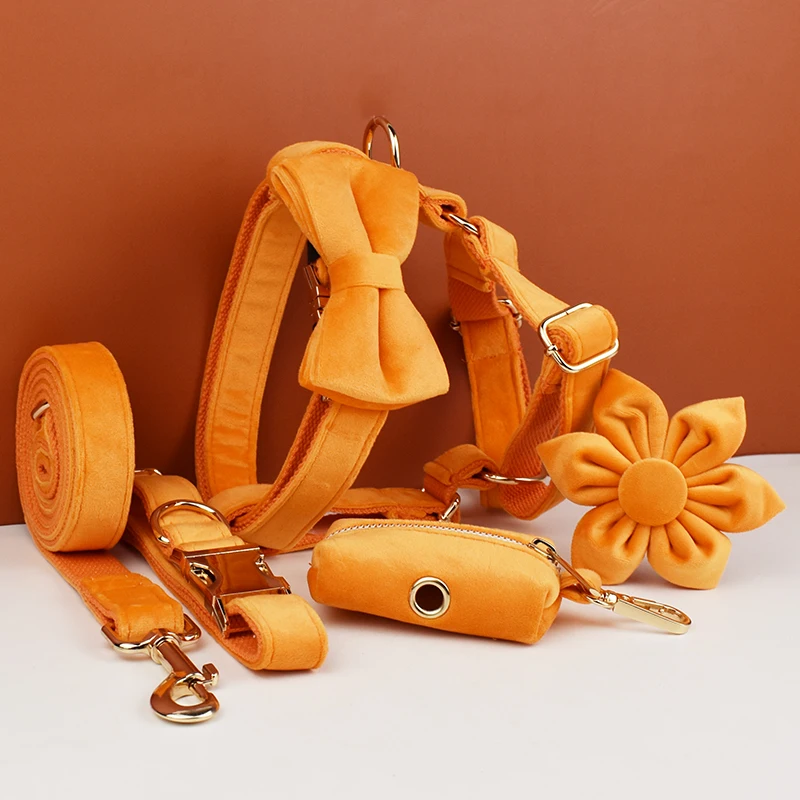 Orange Samt-Hundehalsband und Leinen-Set für Hunde, individuell graviertes Namensschild, Heimtierbedarf, Hundeleine aus Samt 41