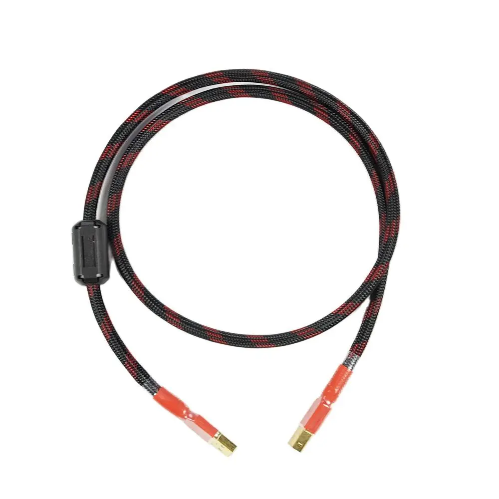 Canare Uc03 Cavo Usb Da Tipo A A B Profersional Thick 4N Ofc Per Interfaccia Usb Dac Pc Portatile Hi-Fi