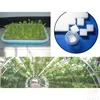 100Pcs/sheet Hydroponic plant Sponge Garden Cultivation Seedling Soilless Culture Planting tools Vegetables Nursery Pots trays 5