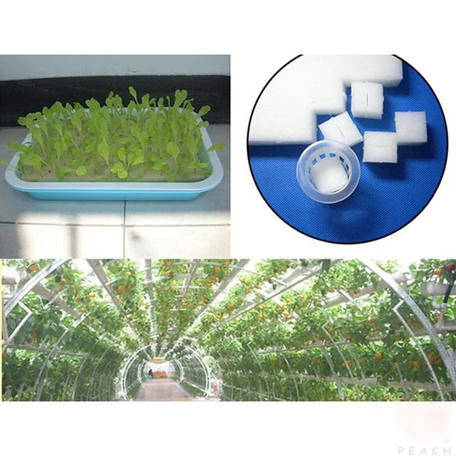 100Pcs/sheet Hydroponic plant Sponge Garden Cultivation Seedling Soilless Culture Planting tools Vegetables Nursery Pots trays 5