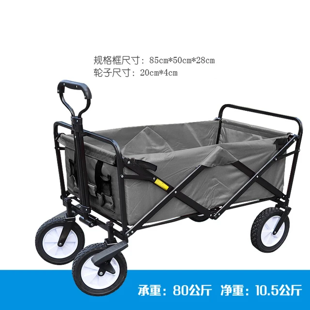 C1 gray double brake