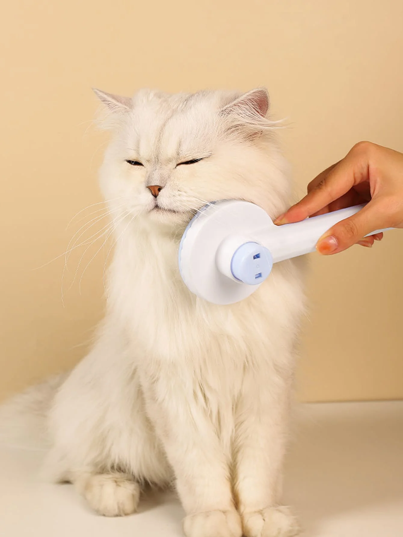Pet Massage Brush