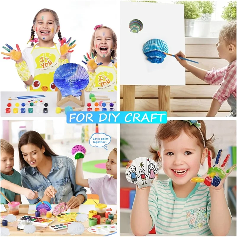 Hho-conchas de vieira concha 4 "a 5" grandes conchas de vieira com pincéis e tiras de tinta acrílica para decoração de artesanato