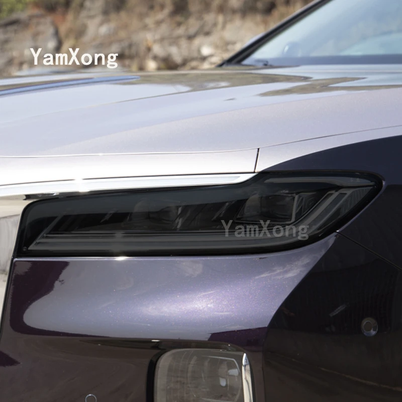 

For Red Banner H9 2020-2023 GTS CRT Accessories Car Headlight Protective Film Transparent Smoked Black TPU Sticker