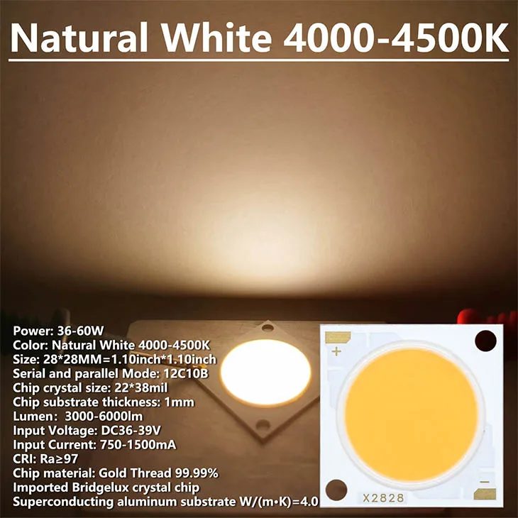 5pcs Natural White