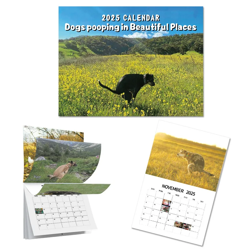 Wall Calendar 2025 Dogs Pooping Beautiful Places Funny Gag Gifts Holiday Christmas White Elephant Gifts