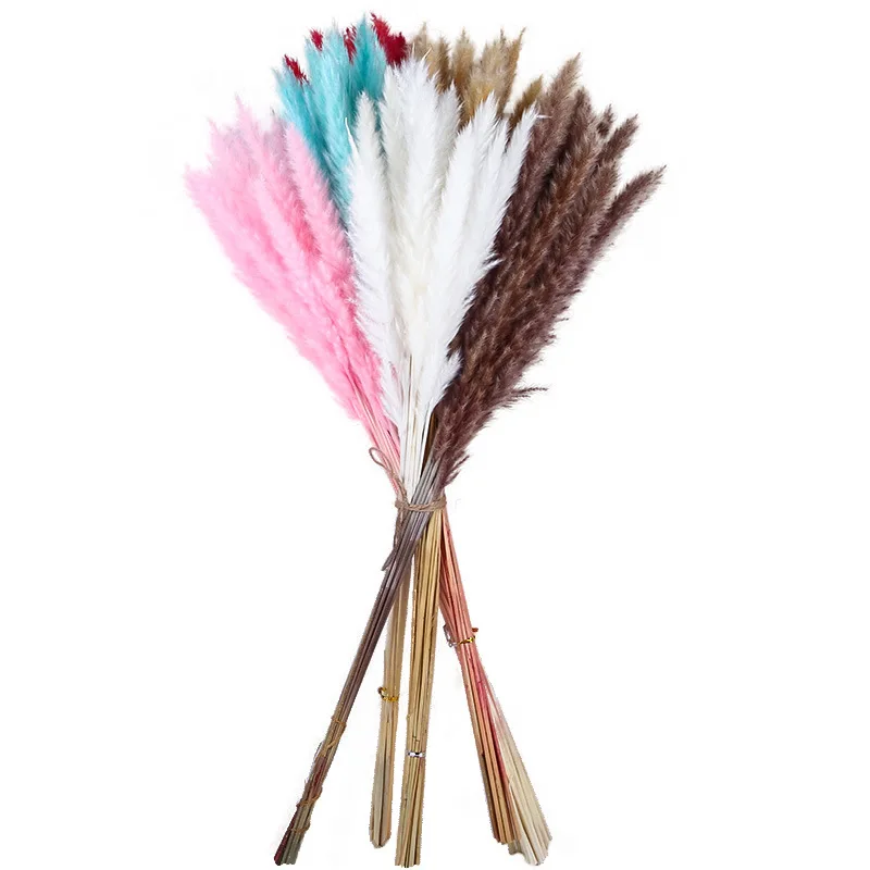 

15pcs High Quality Home Decor Dried Flowers Small Pampas Grass Natural Ornament Reed Grass for Wedding Decoration Bedroom Decor
