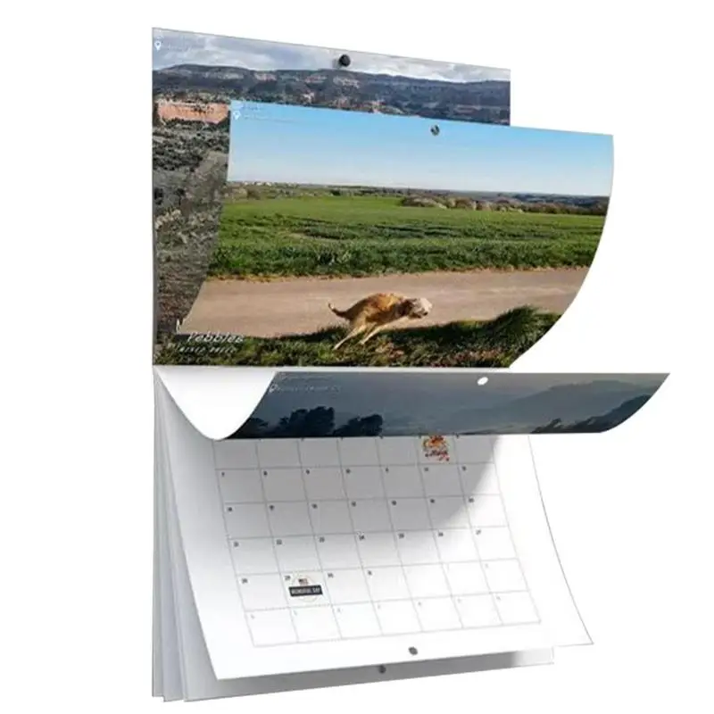 Cane Pooping Calendario Da Parete Pooches Divertenti Con Bellissimi Luoghi Calendario Per Il Calendario Da Parete Liscio 2023 Per Gli Amici Famiglia A