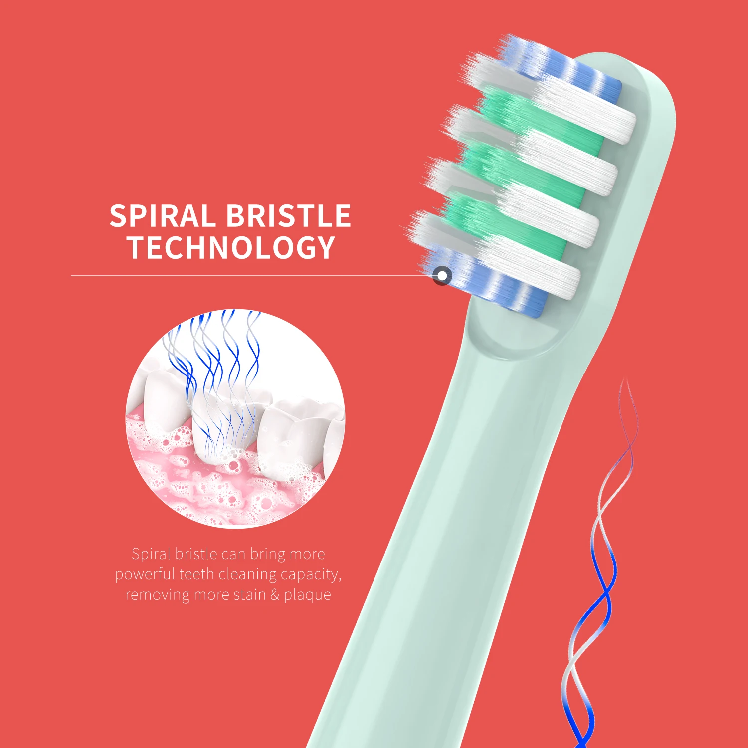 Replacement Toothbrush Heads Compatible with Colgate Hum Connected Smart Battery Toothbrush Refill Head,12 Pack 4