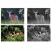 Infrared Night Vision Camera 2.0in TFT HD Display 1920x1080P IP66 Waterproof Wildlife Trail Camera for Outdoor HD Hunting Camera 6