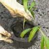 6pcs Root Protector Wire Baskets Root Protector Plants Baskets Cord Protector Woven Baskets Stainless Steel Outdoor Cover 3