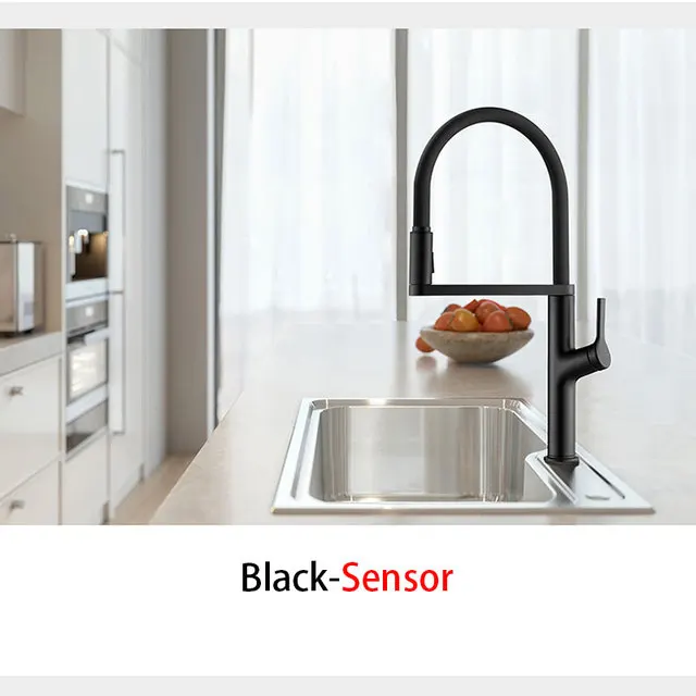 Black-Sensor