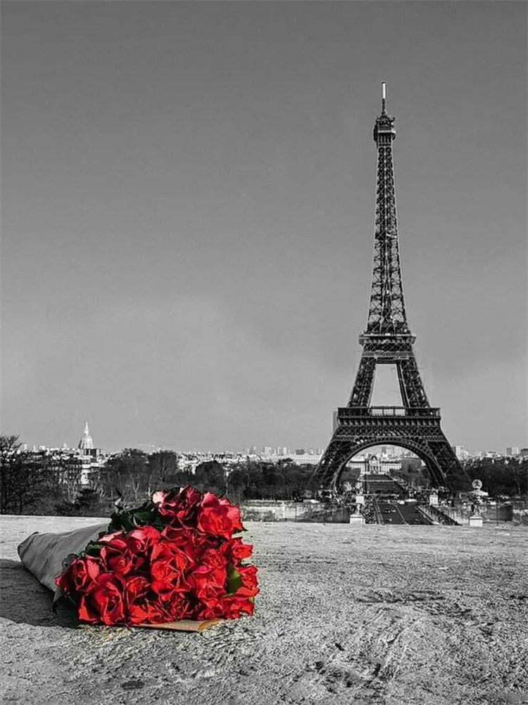 Meian 11/14CT Stickerei Malerei Traum Paris Eiffelturm Landschaft Kreuz Stich Kits DMC Gedruckt Leinwand DIY Hause Dekoration – Detail 21