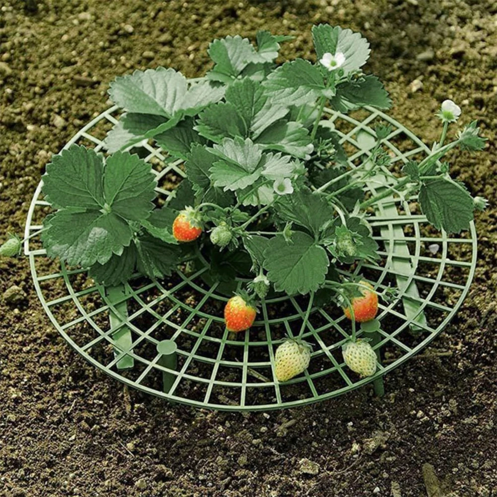 10pc Vegetable Growing Rack Strawberry Growing Plastic Supports Fruit Plant Tray Watermelon Anti Rot Holder Garden Planting Tool
