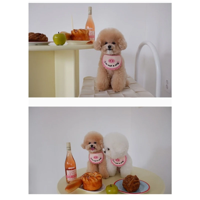 남성 여성 개와 작은 중형 품종 돼지 개 두건 애완 동물 생일 선물을위한 고양이를위한 새로운 타이 온 목 스카프