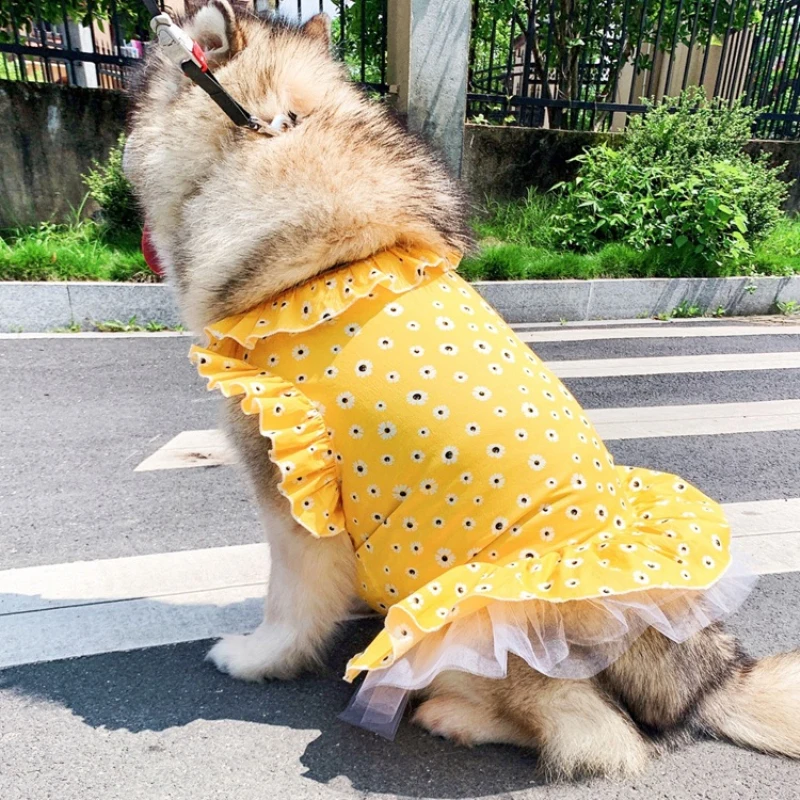 Samoyed Golden Retriever Golden Retriever Dresses Big Dog Clothes