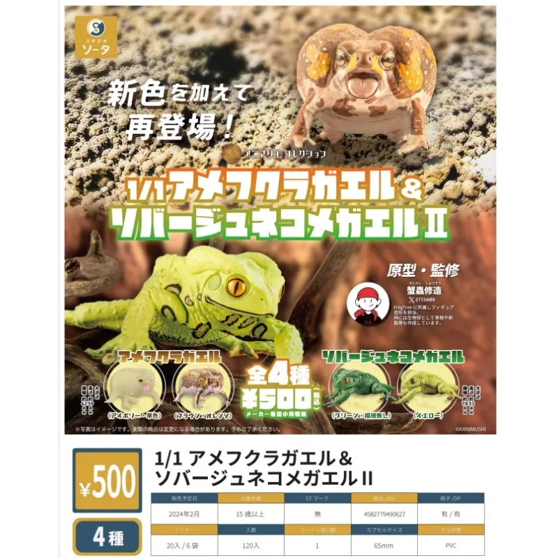 

Original SO-TA Gashapon Frog Toad Breviceps Adspersus Qversion Animal Action Figure Model Toy Gift Cartoon Character Collection