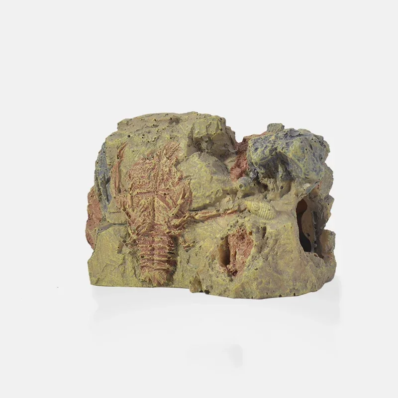 Prodotti Pet Shrimp Hideout Accessori Marine Aquascaping Secret Terrarium Nascondere Acquari Acquario Aquario