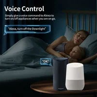 TNCE Tuya EU Plug zigbee3.0 or wifi 16/20A adapter, Smart Socket With Power Monitor, Timer outlet, Voice Alexa Google Home Alice - Image 4