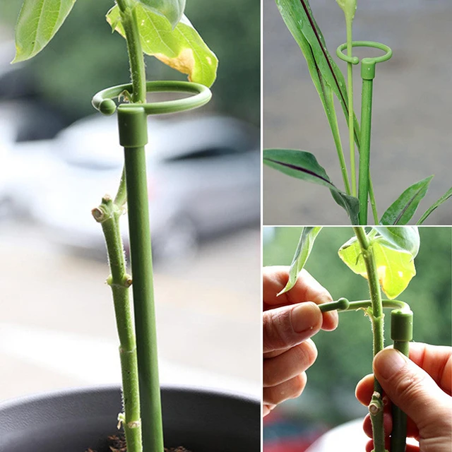 6 db Növény Támogatja A Pillangók Orchidea Pozsgás Növényeket Virágzöldség Növényi Állvány Cserepes Tartó Rudak Kerti Kellékek - Image 5