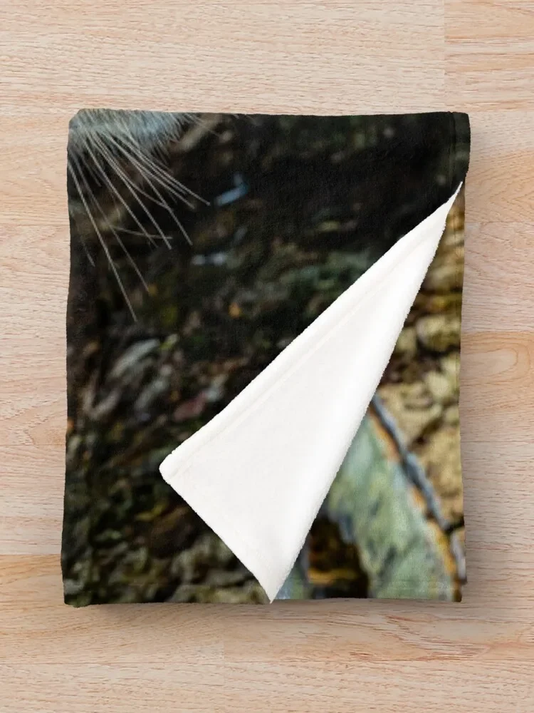 ������ ��� ��� ���� ��� ���� ���� ���, ���� ���游