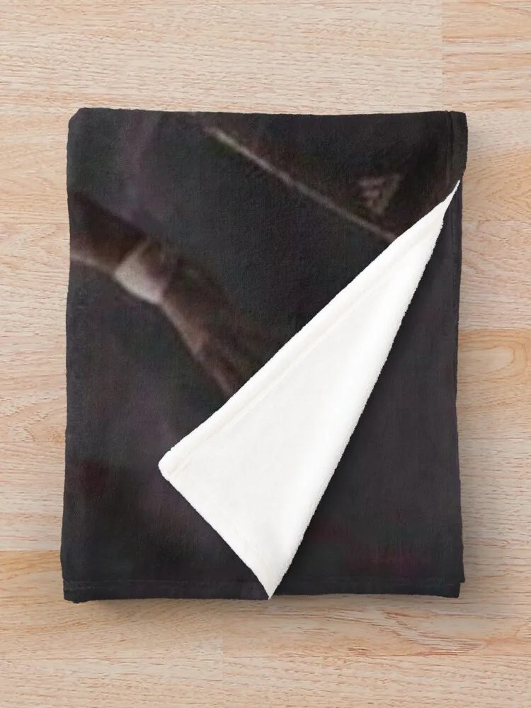 Christiano Rnolado �׸� ������ ���, �ܿ� ħ�� ���, ���ſ� ���, ���� �̺�, ���� ħ�� ���