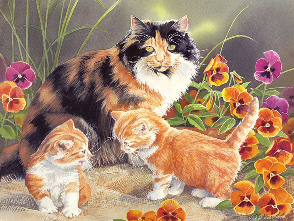Kit Peinture Diamant 5D Chat Orange - 30x40 Cm, Complet Avec Outils, Décoration Murale