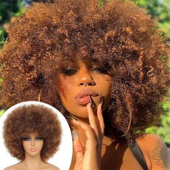 Synthetic Afro Kinky Curly Wig for Women Black 70s Bouncy and Soft Afro Puff Wigs Natural Looking Full Wigs for Party Cosplay 1