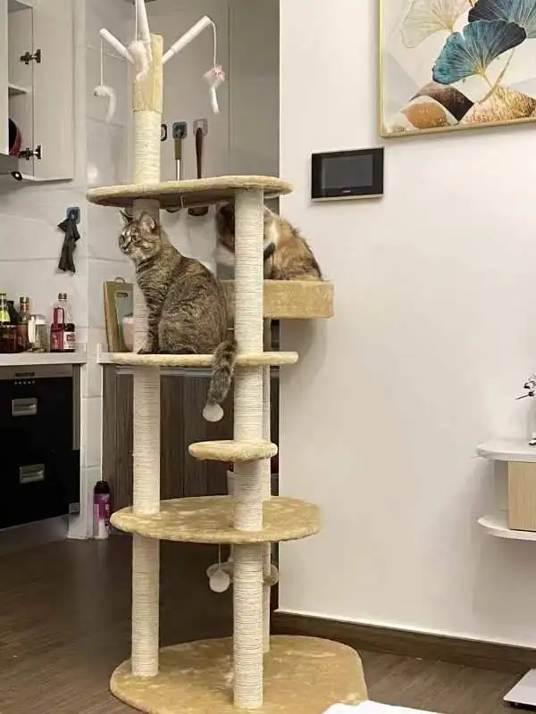 Sddc6cb6c5fdd41c59379f50c2279b786v