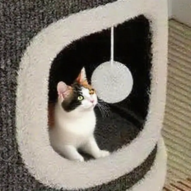 Cat Climbing Tower Cat Scratching Barrel with 3 Cat Caves Sisal Scratching Pad Multi-tier Cats Play Tower Cat Climbing Tower Cat Scratching Barrel with 3 Cat Caves Sisal Scratching Pad Multi-tier Cats Play Tower