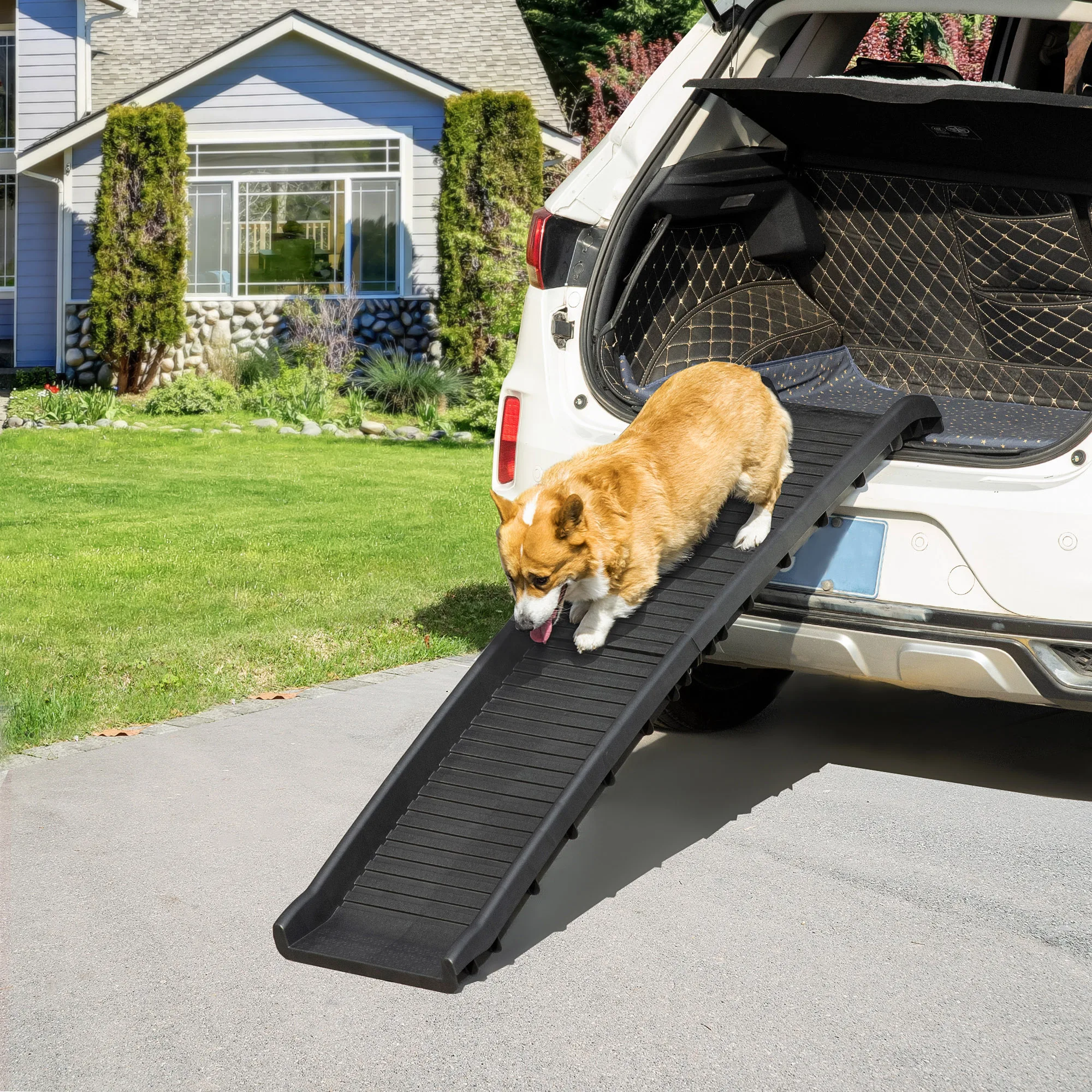 dog ramp for suv
