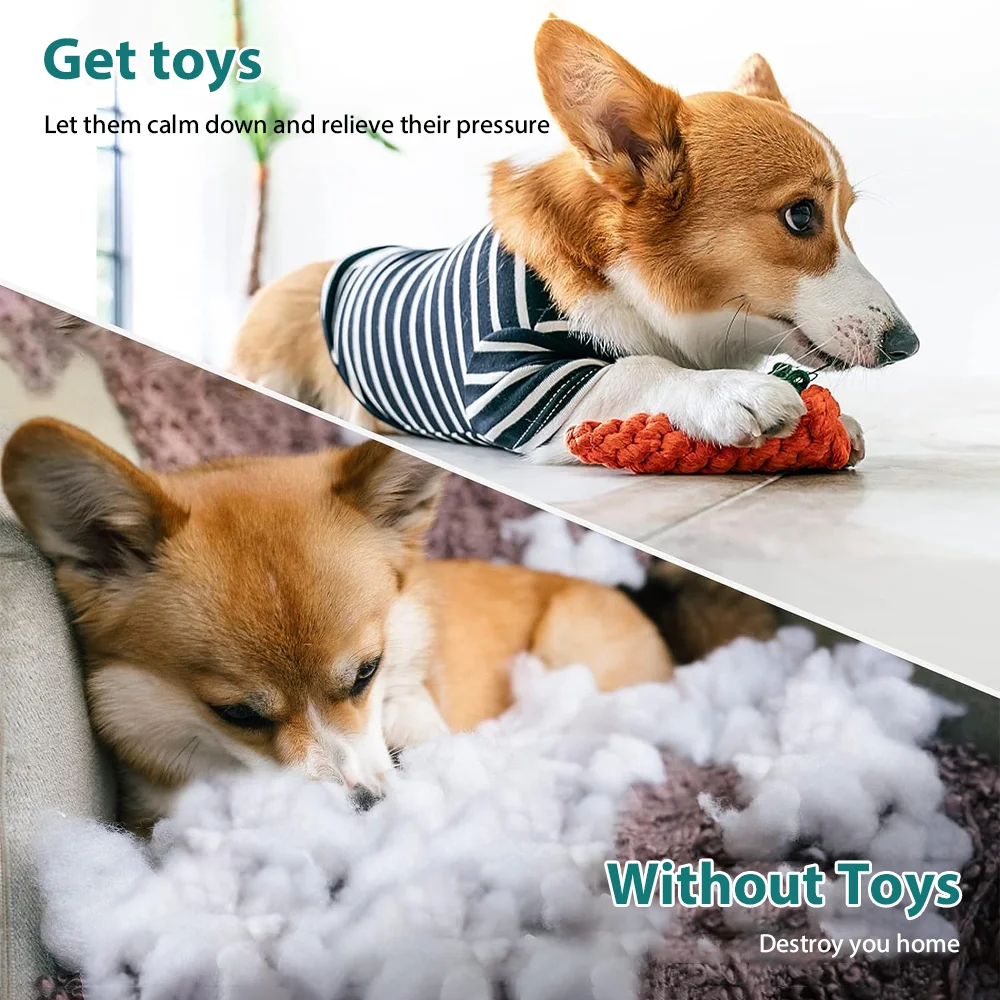 Pet Colorful Accessories Vibrant Dog Toys Squeaking Dog Chew Toys Rope Molar Teeth Cleaning Playtime Fun Kit: uk Stock, 4 Days Free Delivery, & No Order Amount limit