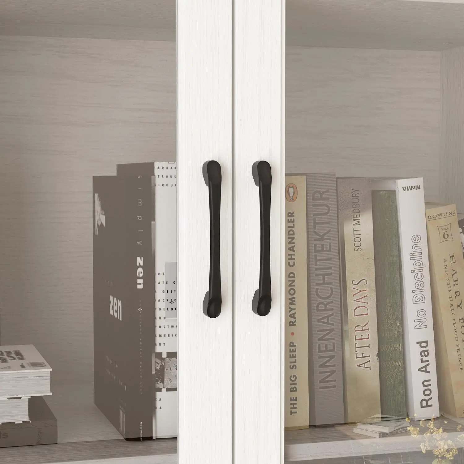 Bookshelf with Glass Doors 4