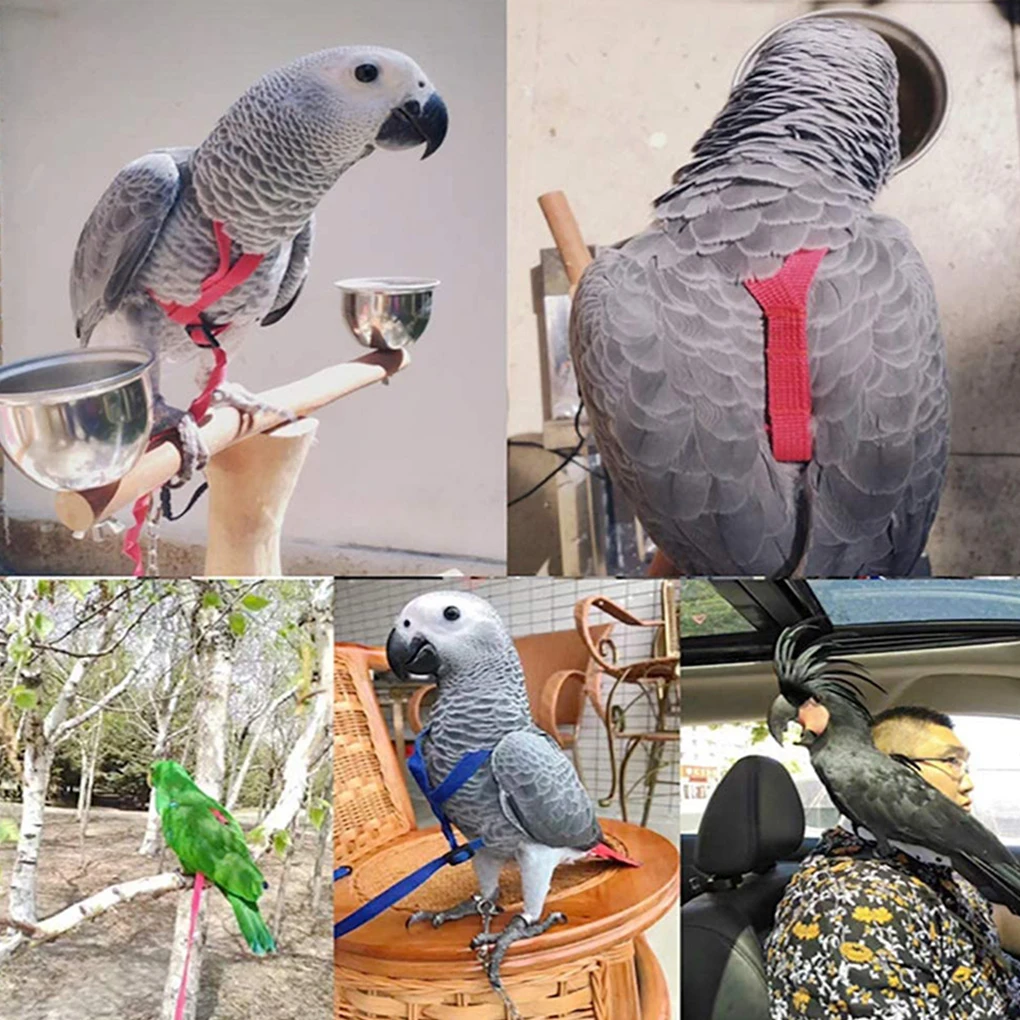 Adjustable Bird Leash And Harness Convenient And Durable Made With Nylon Easy To Wear Parrot Harness