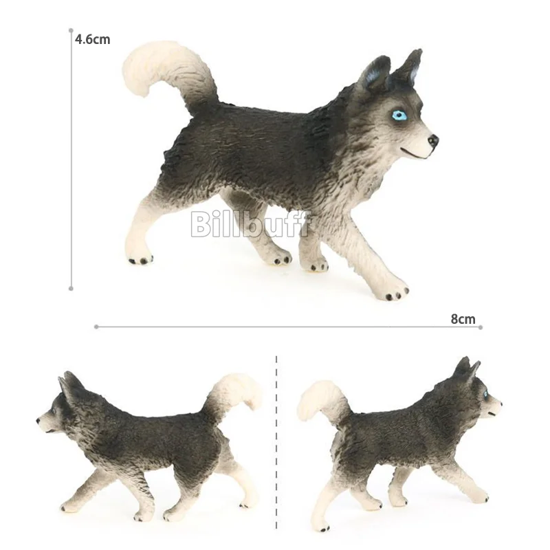 dog toys-C