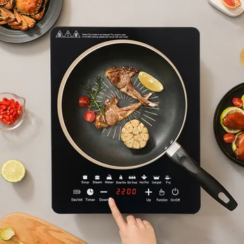 Portable Induction Cooktop 1