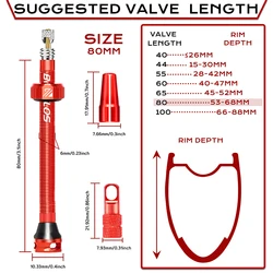 BUCKLOS CNC Aluminum Alloy Tubeless Presta Valve for MTB and Road Bike Tires (RED - 80MM)