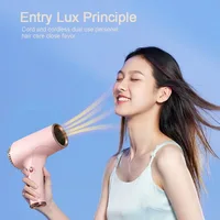 Portable 220v Cord/Cordless Dual Use Hair Blower Hot Cold Even Wind 2 Gears Portable Mini Hair Dryer For Home Travel Art Making 2