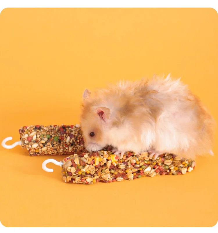 Small Pet Toy Parrot Toy Hamster Chewing Rabbit Molar String Bird Parrot Rattan Chewing Bird Cage Hanging