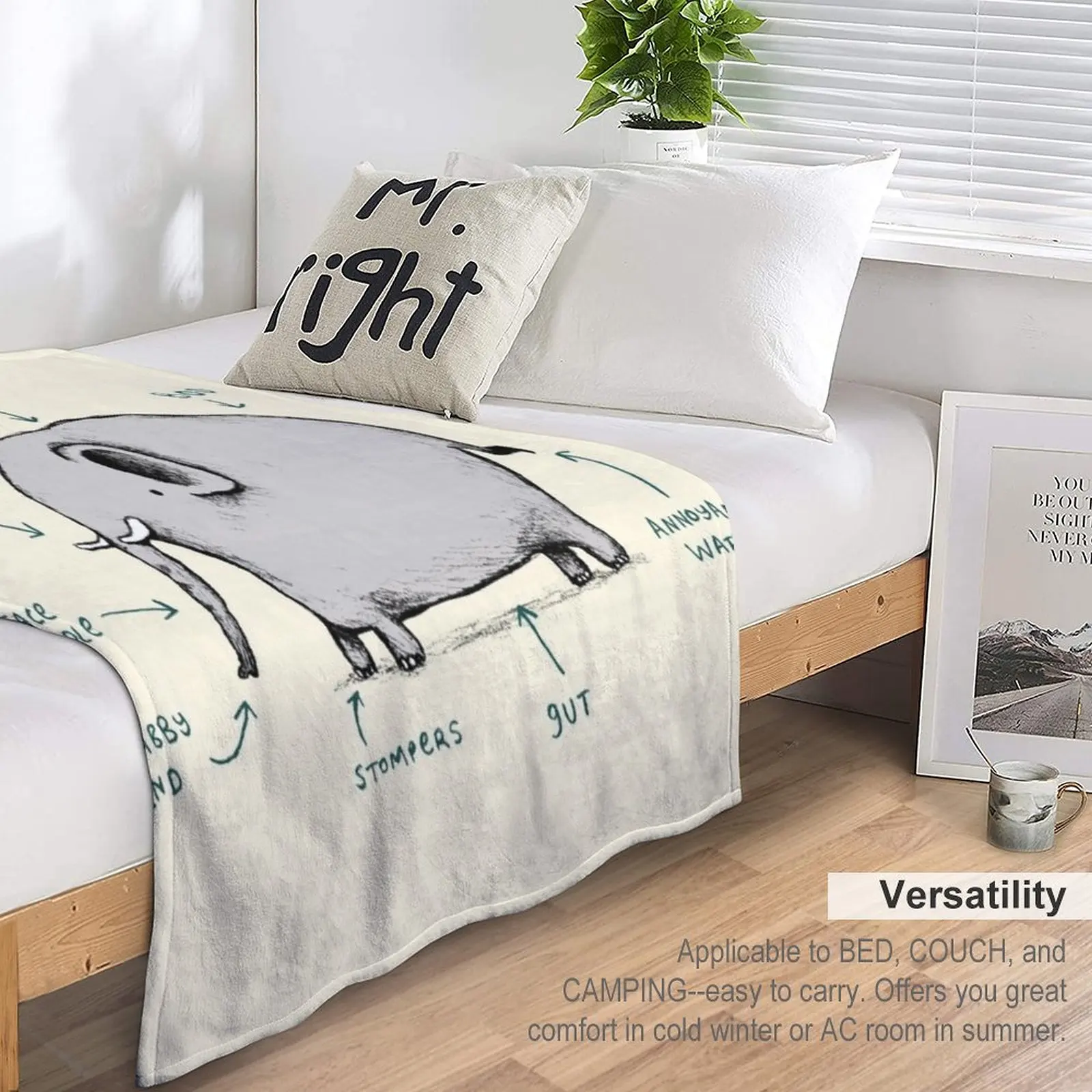 �ڳ��� ������ ����� �غ���, �ʴ��� ������ ���, ������ ���, �ε巯�� ħ�� ���