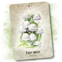 10.4*7.3cm Mushroom Spirit Oracle Cards 36 Pcs Hand-drawn Images of Mushrooms From All Over The World 1